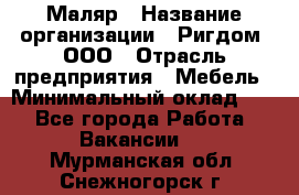 Маляр › Название организации ­ Ригдом, ООО › Отрасль предприятия ­ Мебель › Минимальный оклад ­ 1 - Все города Работа » Вакансии   . Мурманская обл.,Снежногорск г.